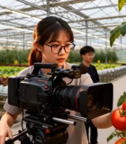 温室大棚内女子操作摄像机10333#横屏 