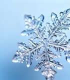 微距雪花特写(6)10355#横屏 