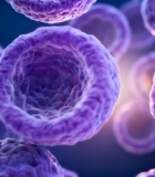 微观细胞渲染画面2278#横屏 