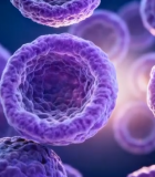 微观细胞渲染画面2278#横屏 