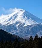 富士山雪景森林全景14013#横屏 