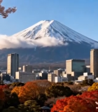 富士山与城市及樱花景观5446#横屏 