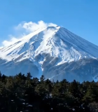	 富士山雪景森林自然风光3447#横屏 