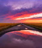 田野晚霞倒影风景9840#横屏 