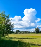 田野绿树蓝天白云自然景观3806#横屏 