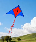 田野上空飞翔的红蓝风筝4403#横屏 
