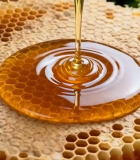 蜂蜜从蜂巢滴落特写13646#横屏 