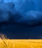 田野上空闪电乌云景象4065#横屏 