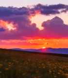 田野日落自然风光(1)11962#横屏 