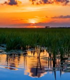 田野夕阳倒影风景9668#横屏 