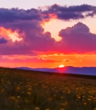 田野日落自然风光(1)11962#横屏 