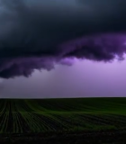 田野上空乌云闪电景象8070#横屏 