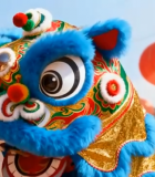 特写粉色康乃馨花朵14434#横屏 