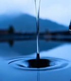 特写粉色花朵10056#横屏 