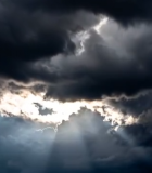 特写粉色荷花素材13678#横屏 