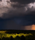 炭火上烤制的鸡腿特写5855#横屏 