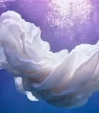 水下飘动的白色织物2790#横屏 