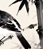 水墨风竹枝上的鸟11980#横屏 