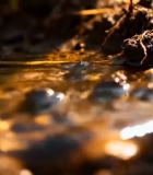 水滴浇灌土壤画面5503#横屏 