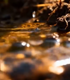 水滴浇灌土壤画面5503#横屏 