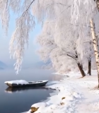 冬季河岸雾凇雪景7642#横屏 