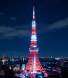 	 东京塔夜景俯瞰画面8731#横屏 