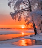 冬季森林雪景日落景象2009#横屏 