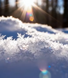 冬日阳光下的雪景特写9201#横屏 