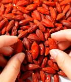 双手掰开枸杞特写素材3401#横屏 