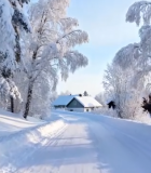 冬日雪覆盖的森林与房屋景象5122#横屏 
