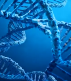 双螺旋结构素材1778#横屏 