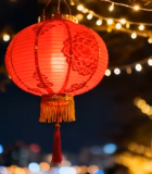 树上悬挂的红灯笼与彩灯11077#横屏 