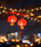 树上挂红灯笼夜景14226#横屏 