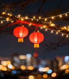 树上挂红灯笼夜景14226#横屏 