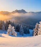 	 冬日雪山森林日出景观14233#横屏 