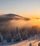 冬日森林雪景日落景观1664#横屏 