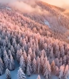 冬日森林雪景航拍3316#横屏 