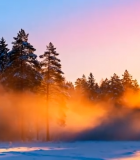 冬日森林日出景象9370#横屏 