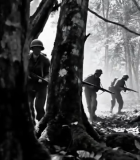 士兵在森林中行进8595#横屏 