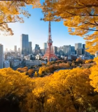 东京城市风光秋日景色8185#横屏 