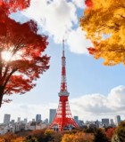 	 东京塔秋日枫叶城市景观13148#横屏 
