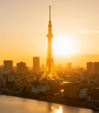 东京城市塔日出全景13813#横屏 