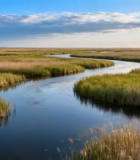 湿地河流自然风光全景8879#横屏 