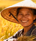 稻田农民手持稻穗特写6578#横屏 