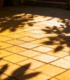 	 地面上树叶光影12130#横屏 