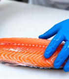 	 戴手套处理三文鱼的手部特写13639#横屏 