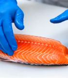 戴手套处理三文鱼食材2945#横屏 