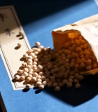 袋装白扁豆洒落桌面素材10851#横屏 