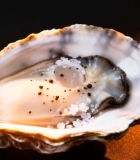 带盐粒的新鲜生蚝特写12729#横屏 