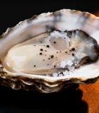 带盐粒的新鲜生蚝特写12729#横屏 